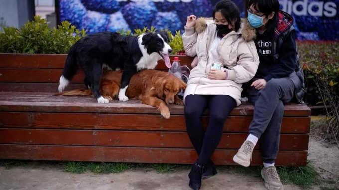 Đại dịch COVID-19 để lại hậu quả tâm lý cho nhiều gia đình ở Trung Quốc, ảnh chụp tại Thượng Hải ngày 6/3/2020. Ảnh: Reuters
