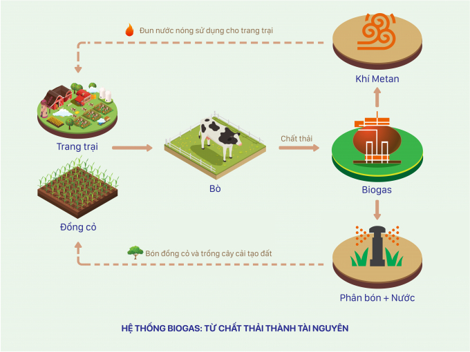 Hình 4: Sơ đồ về hệ thống Biogas tại các trang trại bò sữa Vinamilk.