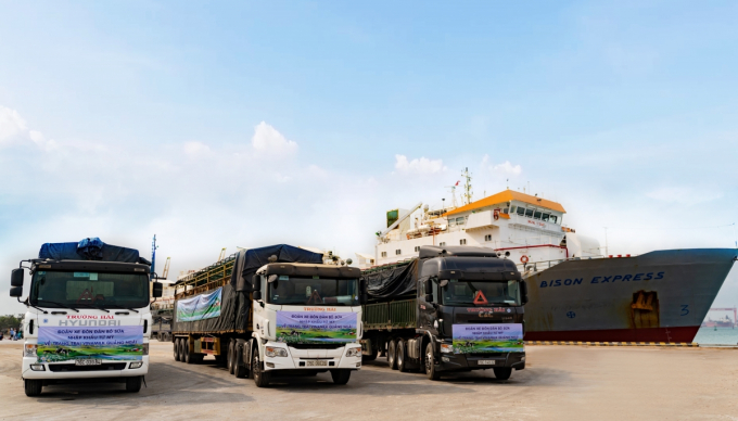 Đoàn xe hơn 80 chiếc tập kết tại cảng Dung Quất, sẵn sàng để đưa hơn 2.100 bò sữa nhập khẩu từ Mỹ về trang trại mới của Vinamilk tại Quảng Ngãi.
