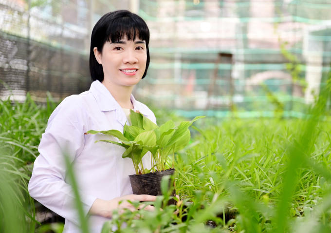 PGS.TS Nguyễn Thị Ái Nhung đã dành gần 20 năm nghiên cứu các loài dược liệu đặc hữu của Việt Nam.