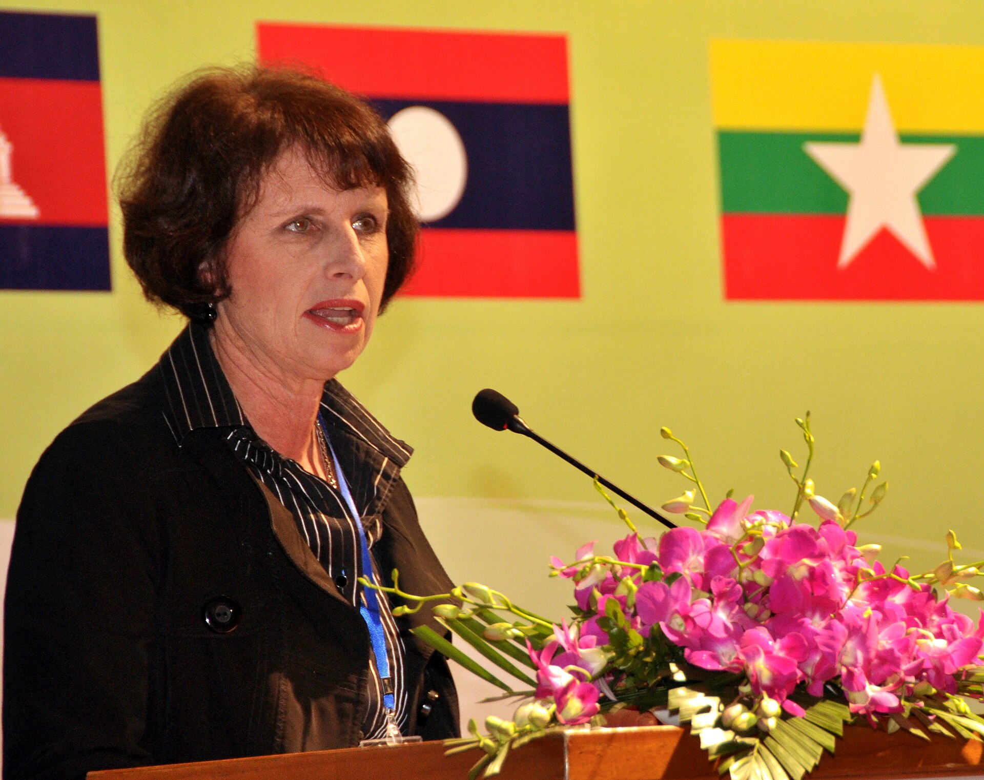 Bà Lorraine Hariton phát biểu tại một chương trình trao đổi chuyên môn ở Hà Nội năm 2013. Ảnh: Richard Nyberg/USAID.