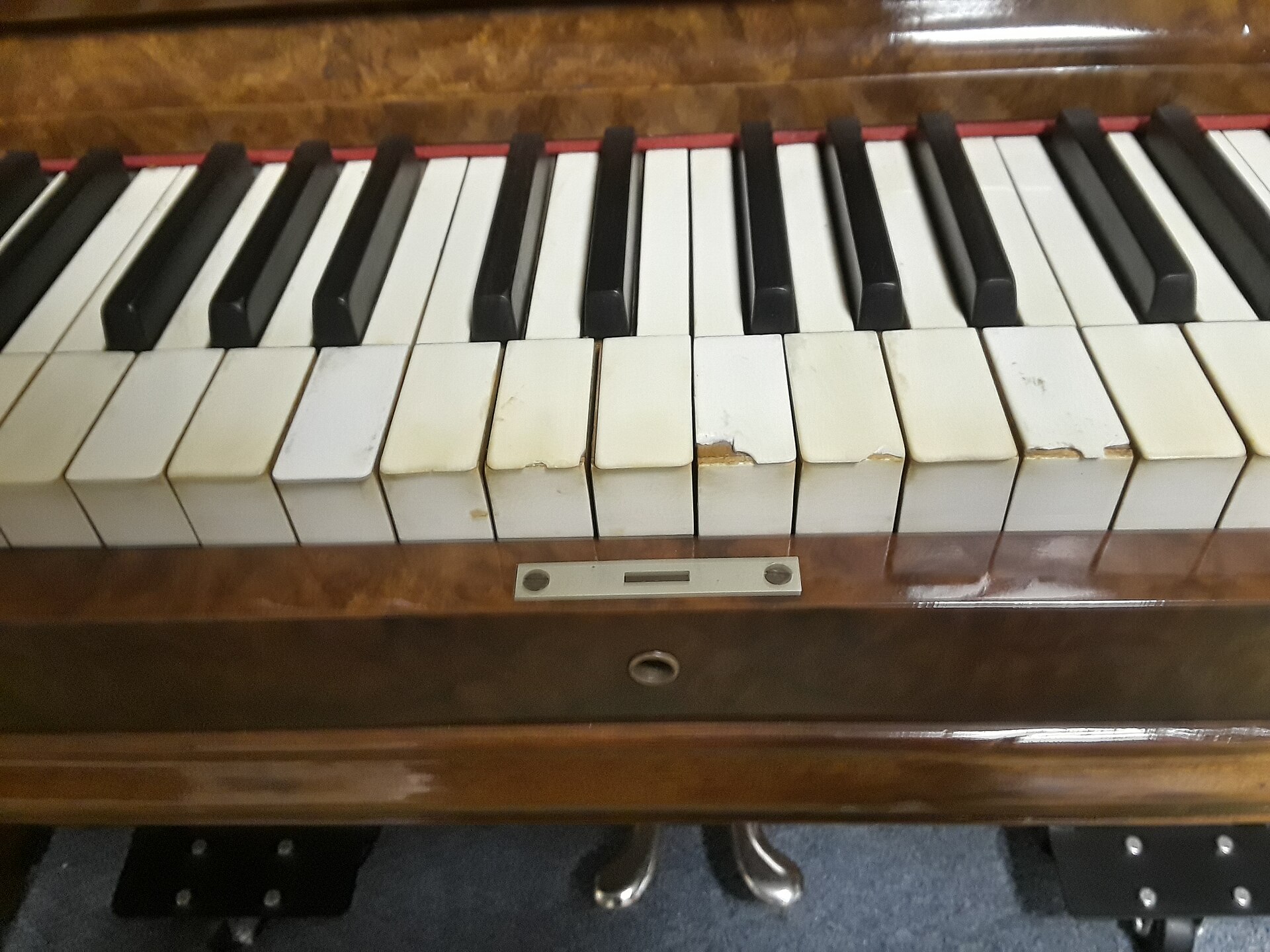 Một quãng tám trên bàn phím piano tiêu chuẩn rộng khoảng 16,51 cm. Các cỡ phím hẹp hơn đang được nghiên cứu cho người có sải tay nhỏ. Ảnh: Ser Amantio di Nicolao/Wikimedia Commons.