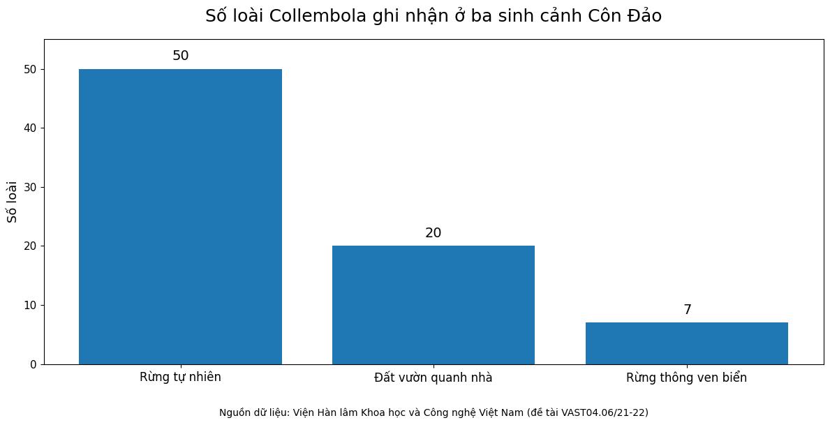 Số loài Collembola ghi nhận tại ba sinh cảnh nghiên cứu ở Côn Đảo: rừng tự nhiên 50 loài, đất vườn quanh nhà 20 loài, rừng thông ven biển 7 loài. Đồ họa: Phụ Nữ Mới; dữ liệu VAST.