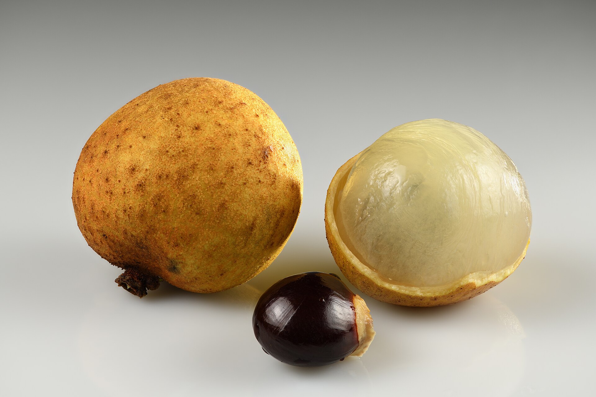 Quả và hạt nhãn. Hạt nhãn là nguyên liệu được nhóm nghiên cứu sử dụng để chiết polyphenol; ảnh chỉ có tính minh họa, không phải mẫu của thí nghiệm. Ảnh: Ivar Leidus/Wikimedia Commons.