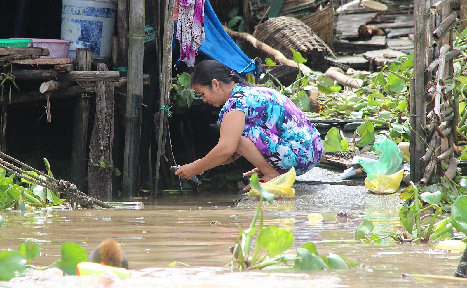 Người phụ nữ làm sạch cá trên sông Mekong, Việt Nam. Ảnh tư liệu minh họa công việc sơ chế thủy sản.