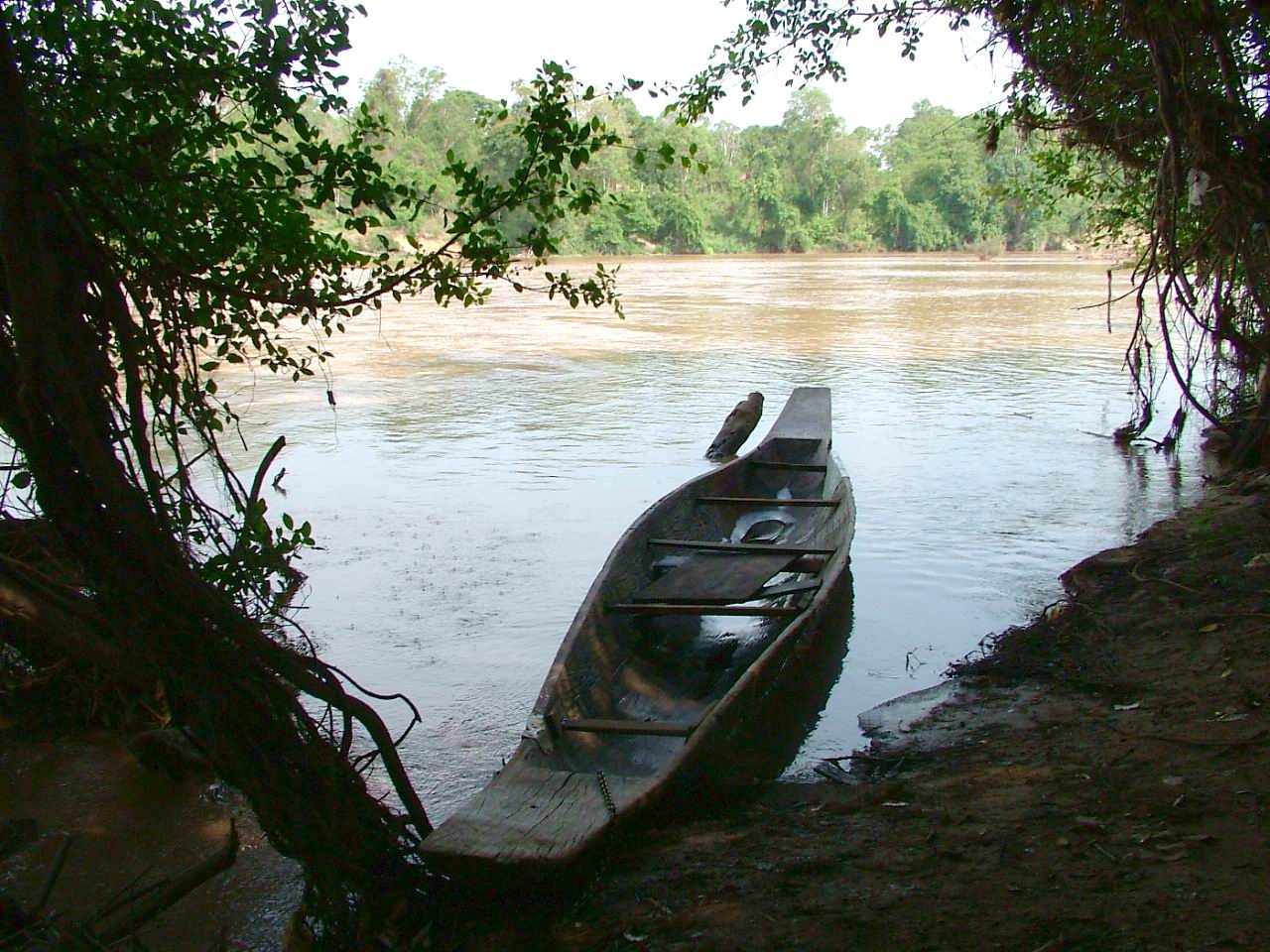 Thuyền độc mộc trên sông Sêrêpốk, đoạn qua Bản Đôn, trong ảnh tư liệu năm 2006. Ảnh: Đỗ Tuấn Hưng/Wikimedia Commons, CC BY-SA 3.0.