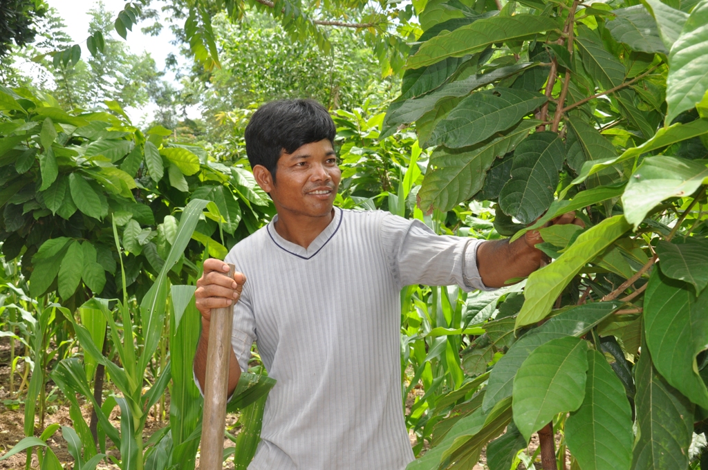 Một nông dân trong vùng sản xuất ca cao ở Đắk Lắk. Bảo hiểm nông nghiệp là chính sách dành cho người sản xuất đủ điều kiện, không phân biệt nữ hay nam. Ảnh: USAID Vietnam.