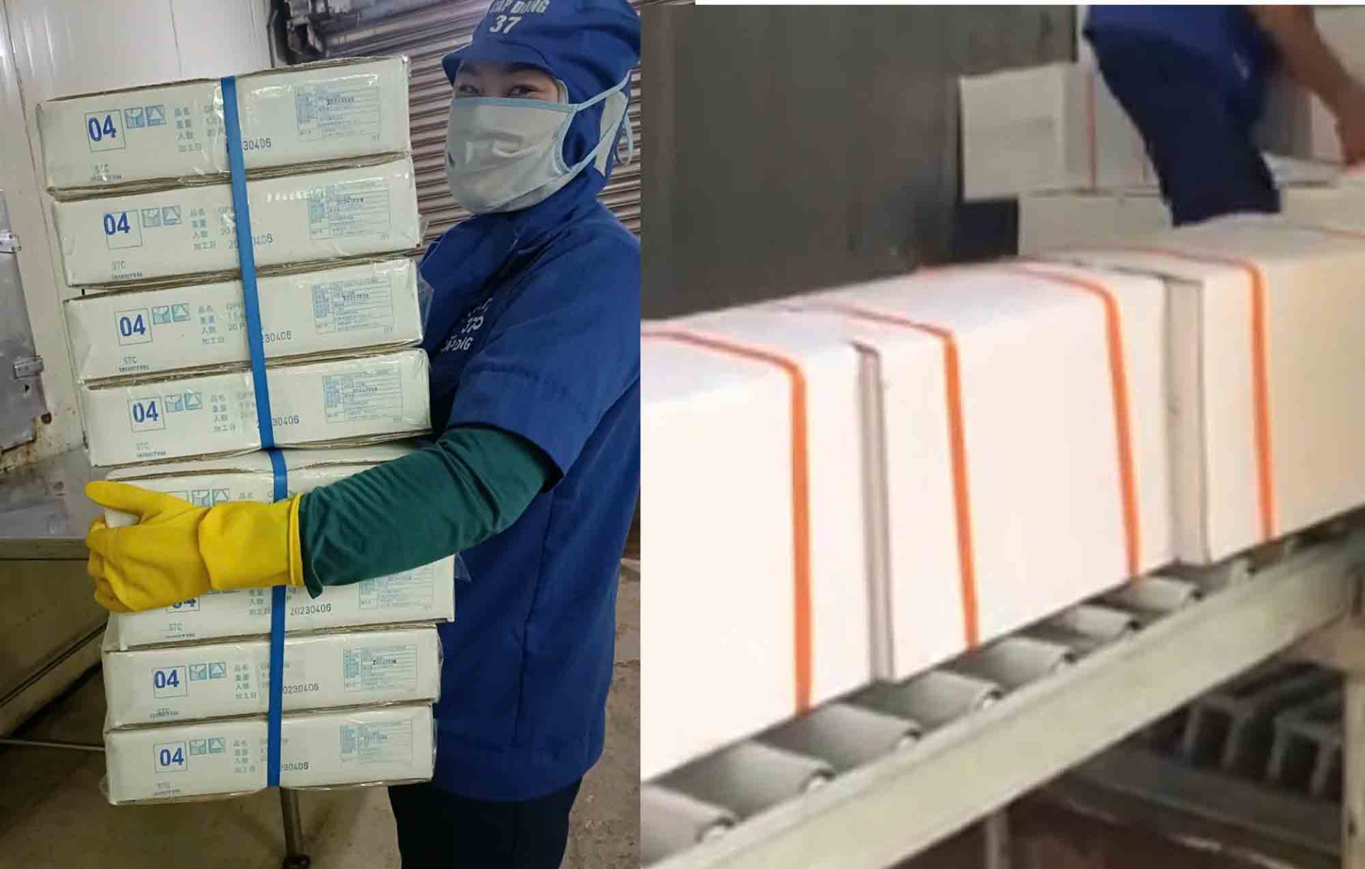 Bên trái là cách công nhân phải khuân các thùng hàng bằng tay; bên phải là băng tải con lăn được đưa vào vận chuyển hàng tại Công ty CP Xuất nhập khẩu Thủy sản Nam Hà Tĩnh. Ảnh: Trần Tuấn/Cổng thông tin điện tử Công đoàn Việt Nam.