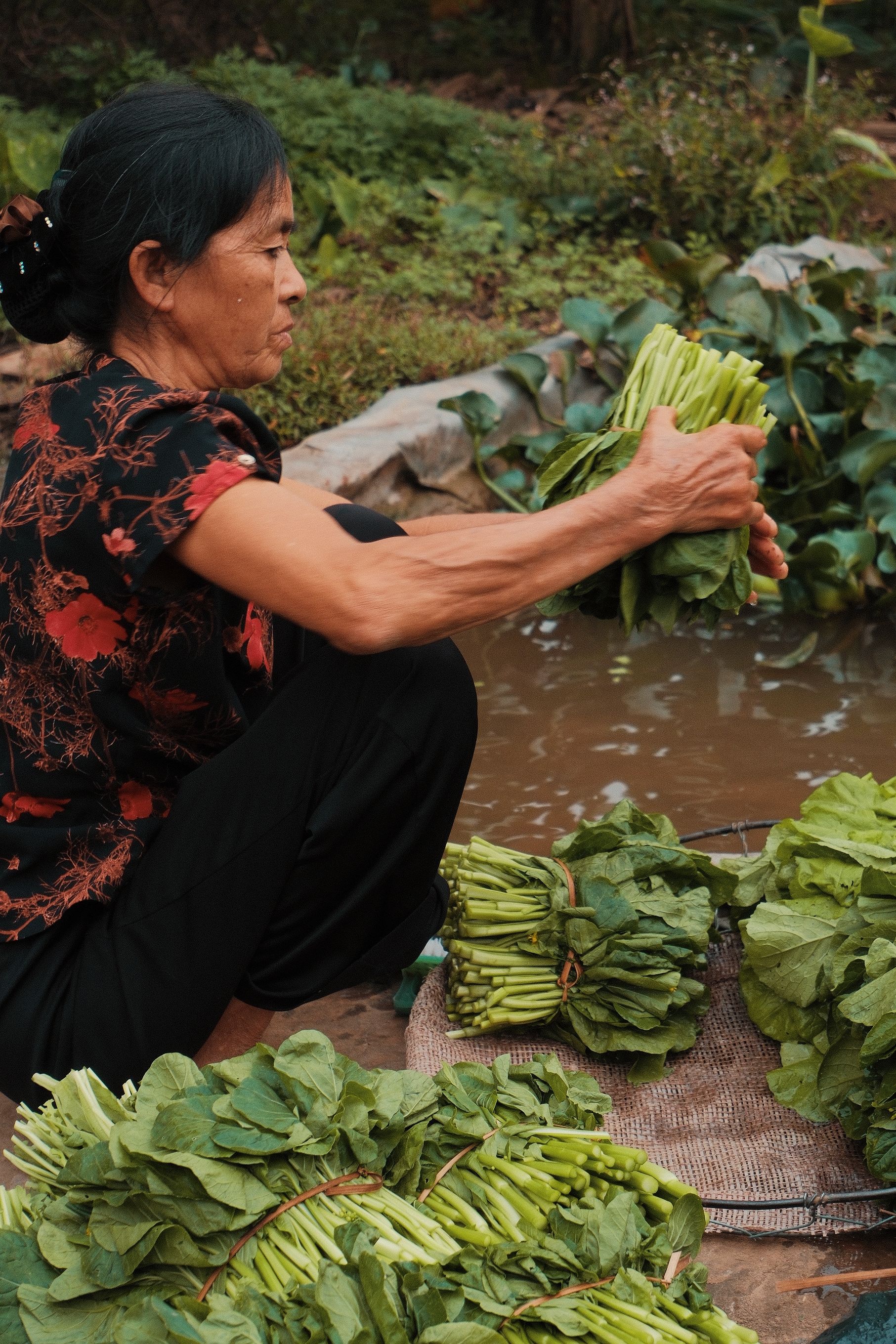 Một phụ nữ thu hoạch rau tại Hà Nội. Việc sản phẩm được làm ra để gia đình sử dụng hay để bán là yếu tố quan trọng khi phân loại hoạt động lao động. Ảnh: G Y/Pexels.