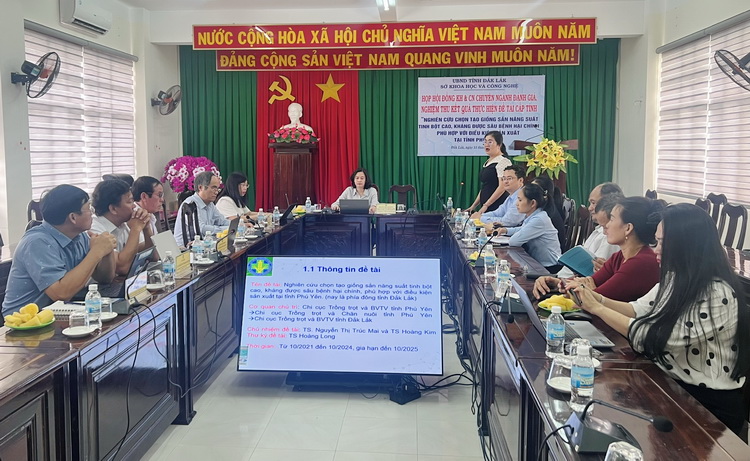 Toàn cảnh buổi nghiệm thu đề tài chọn tạo giống sắn tại phường Tuy Hòa ngày 11/11/2025. Ảnh đăng trên trang Sở Khoa học và Công nghệ tỉnh Đắk Lắk.