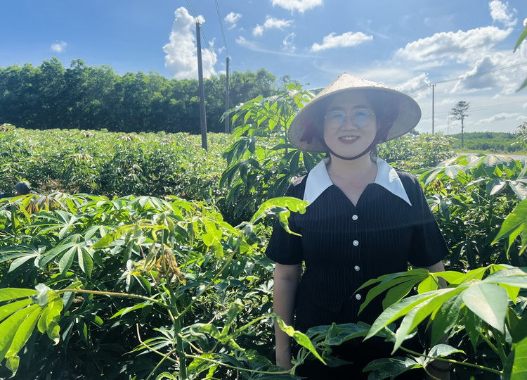 TS. Nguyễn Thị Trúc Mai tại mô hình trồng sắn ở xã Vân Hòa. Ảnh đăng trên trang Sở Khoa học và Công nghệ tỉnh Đắk Lắk.