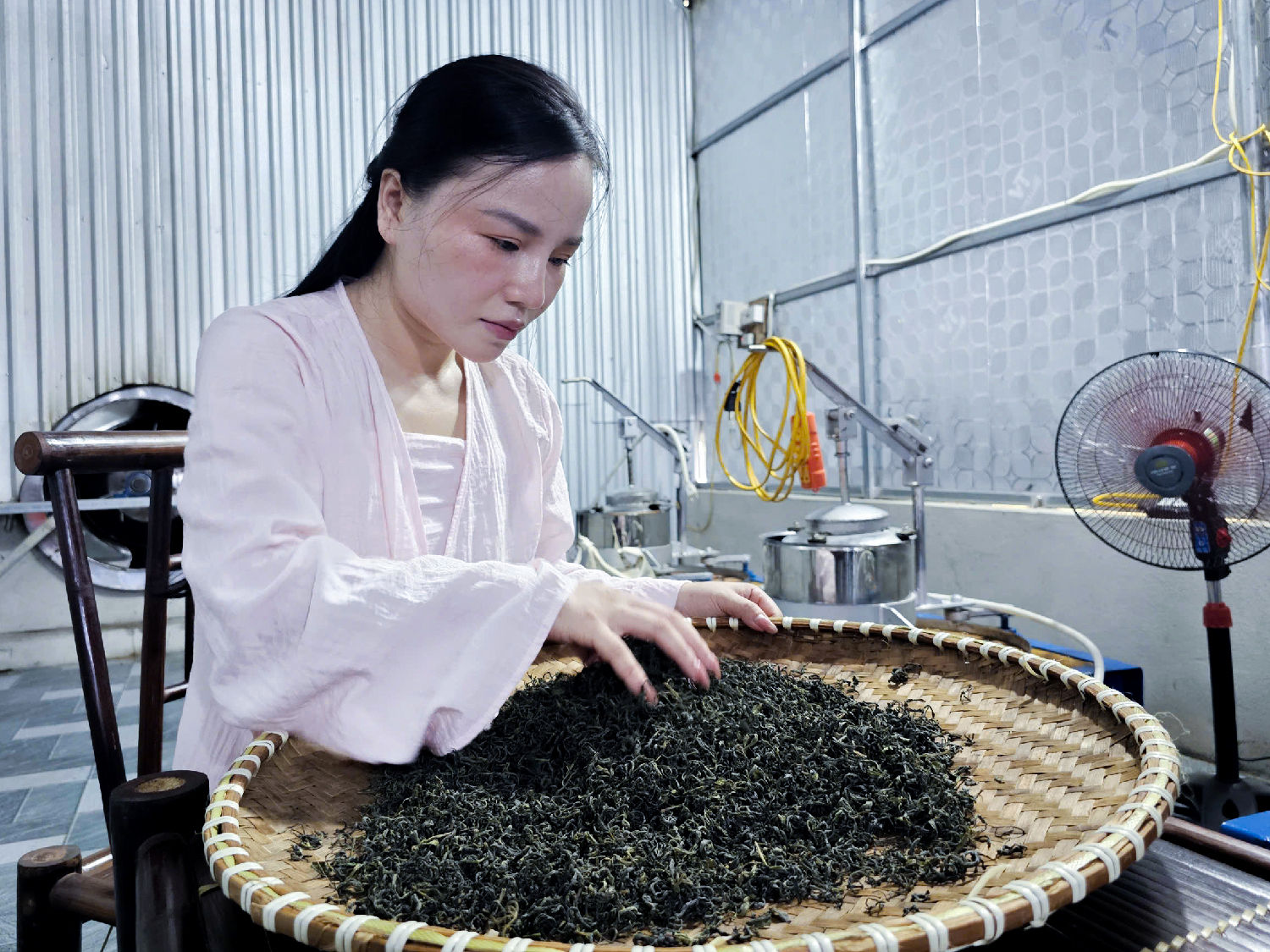 Lê Thảo My kiểm tra một mẻ trà sau chế biến. Ảnh: Nông thôn Việt.