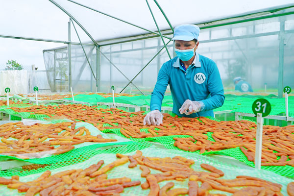 Mứt me được phơi trong nhà phơi tại Cơ sở mứt Kim Anh ở xã Trung Hiệp, Vĩnh Long. Cơ sở kết hợp phơi nắng với máy sấy để giảm phụ thuộc vào thời tiết trong quá trình sản xuất. Ảnh: Thảo Tiên/Báo và Phát thanh, Truyền hình Vĩnh Long.