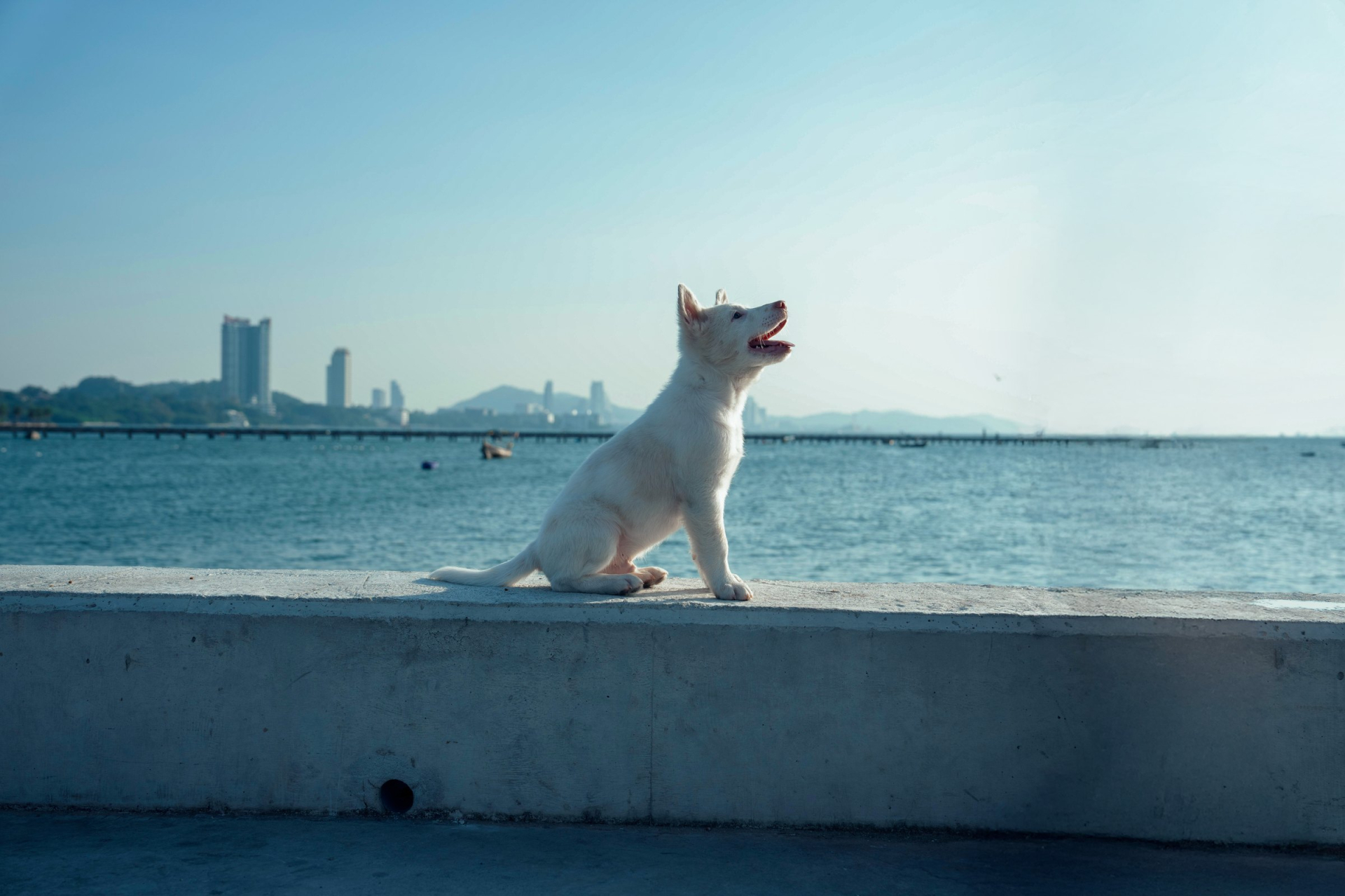 20260430-021212-776a2464-03-tam-biet-g-1