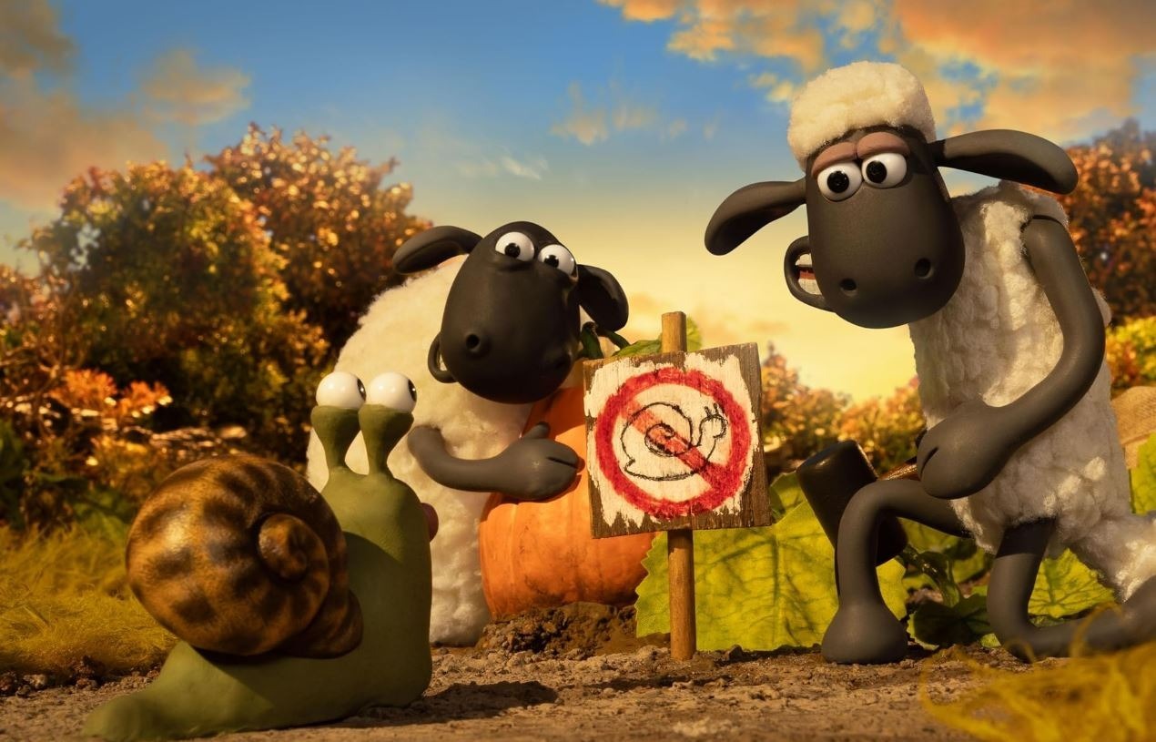 20261013-200557-a1ae88e4-02-i