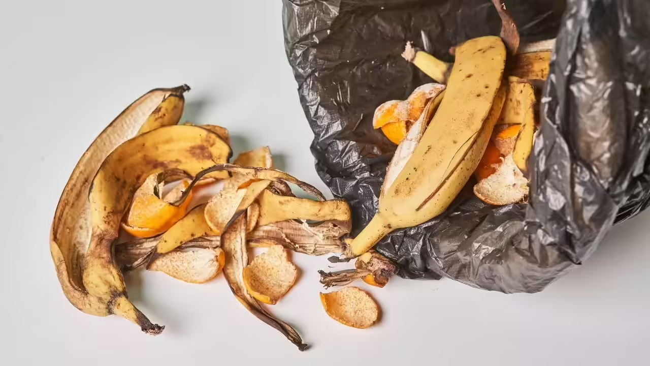 Đừng vội vứt vỏ chuối, vì bạn có thể bỏ lỡ ‘kho báu dinh dưỡng’ cho sức khỏe và sắc đẹp