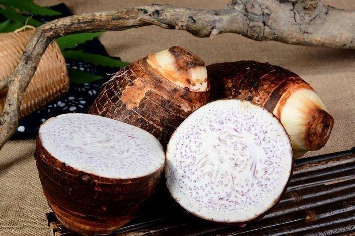 Củ sen là 