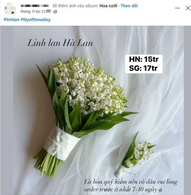 Xôn xao vài cành hoa héo giá 7 triệu đồng: Bí ẩn đằng sau loài hoa được nhiều sao Việt chọn làm hoa cưới