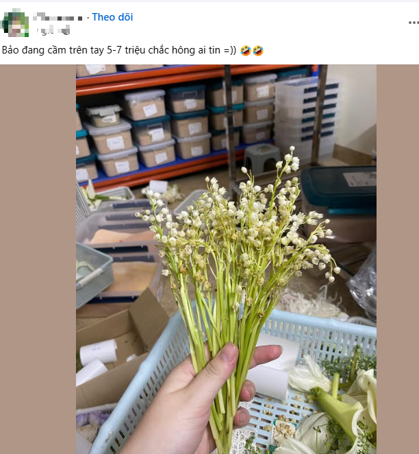 Xôn xao vài cành hoa héo giá 7 triệu đồng: Bí ẩn đằng sau loài hoa được nhiều sao Việt chọn làm hoa cưới
