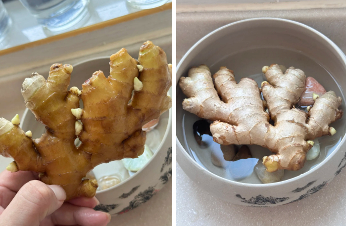 Không ngờ củ gừng bé xíu trong bếp lại là 