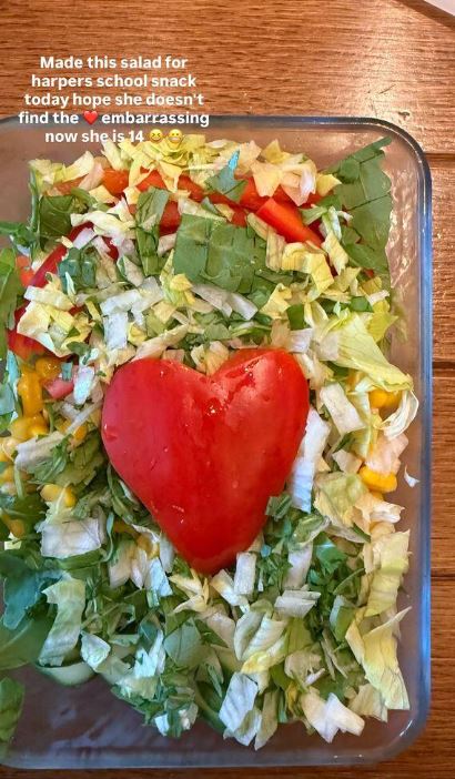 Hộp salad Harper làm cho con