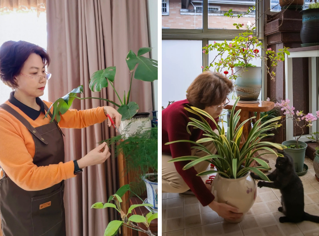 Người phụ nữ U60 tỉnh ngộ: Cứ lao đầu kiếm tiền đi, rồi chỉ để nộp viện phí, hãy kiếm 4 thứ này để đổi lấy bình yên! 