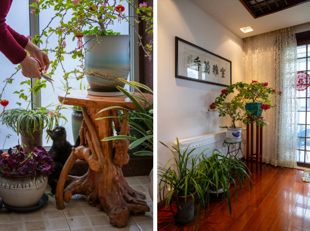 Người phụ nữ U60 tỉnh ngộ: Cứ lao đầu kiếm tiền đi, rồi chỉ để nộp viện phí, hãy kiếm 4 thứ này để đổi lấy bình yên! 