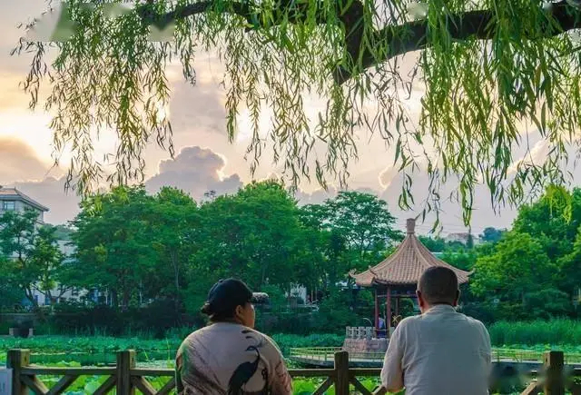 Sau khi nghỉ hưu, những người thực sự khôn ngoan sẽ làm tốt 10 điều này, không phải khoe khoang mà để sống trọn vẹn