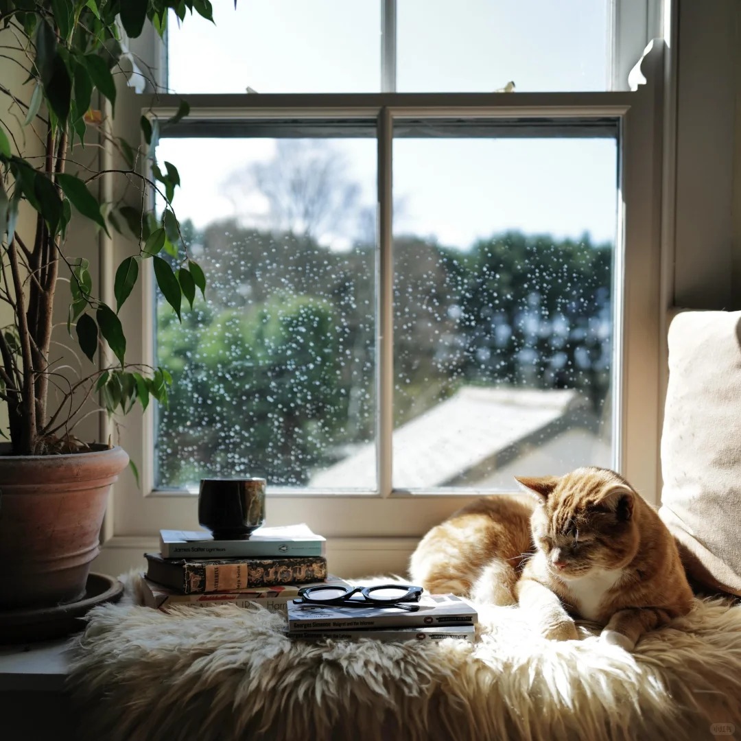 Cuộc sống mơ ước của người phụ nữ 47 tuổi bên bờ biển: Cắm hoa, tập Pilates và sở hữu bức tường sách khổng lồ khiến ai cũng ghen tị