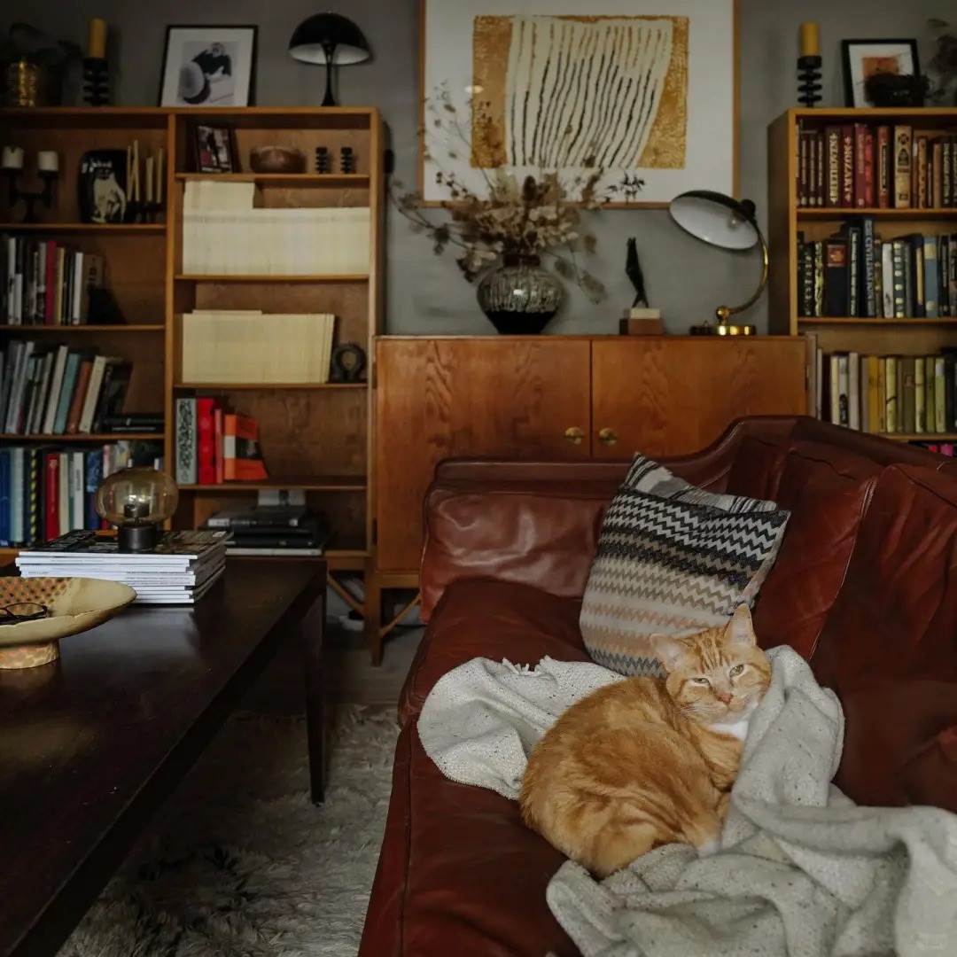 Cuộc sống mơ ước của người phụ nữ 47 tuổi bên bờ biển: Cắm hoa, tập Pilates và sở hữu bức tường sách khổng lồ khiến ai cũng ghen tị