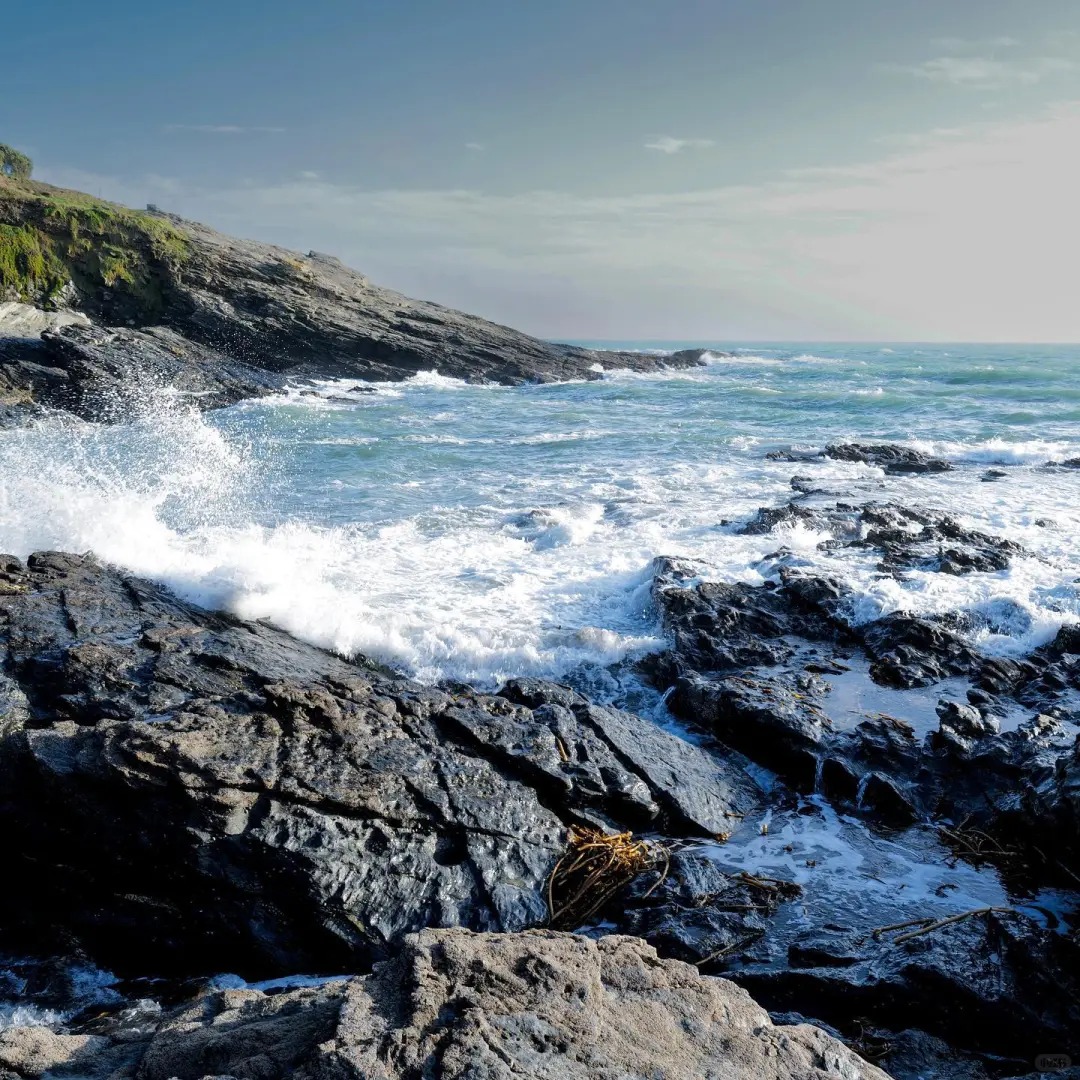 Cuộc sống mơ ước của người phụ nữ 47 tuổi bên bờ biển: Cắm hoa, tập Pilates và sở hữu bức tường sách khổng lồ khiến ai cũng ghen tị