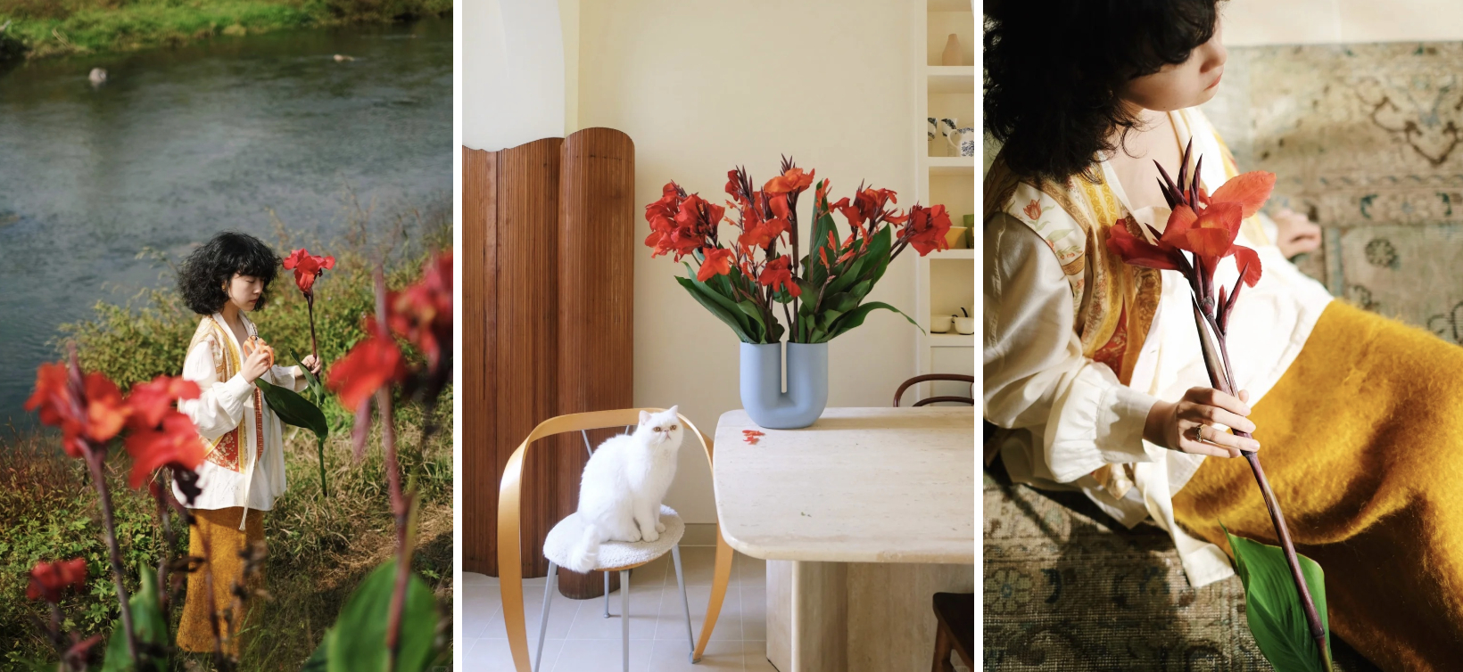 Hoa dong riềng bỗng hot: Loài hoa tưởng bị