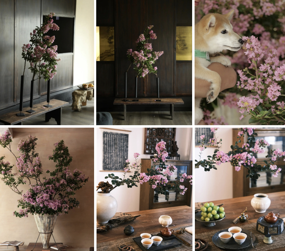 Mùa hoa này qua rồi, tôi cứ tiếc mãi: Chưng một bình trong nhà, phúc khí như tràn đầy, mọi sự an yên bền lâu