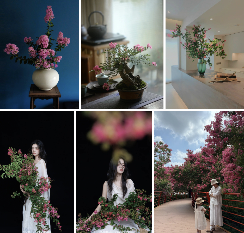 Mùa hoa này qua rồi, tôi cứ tiếc mãi: Chưng một bình trong nhà, phúc khí như tràn đầy, mọi sự an yên bền lâu