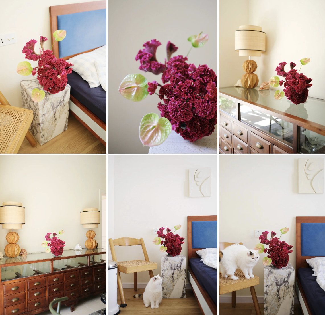 Hoa mào gà: Tưởng quê mùa mà cắm lên lại sang rực rỡ, chơi Tết đẹp mê và hút phú quý vào nhà