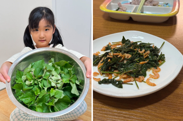 Gừng bonsai lên ngôi nhưng khoai lang thủy canh vẫn hot rần rần: Chị em trồng chơi mà ăn thật cũng “đã cái nư”!