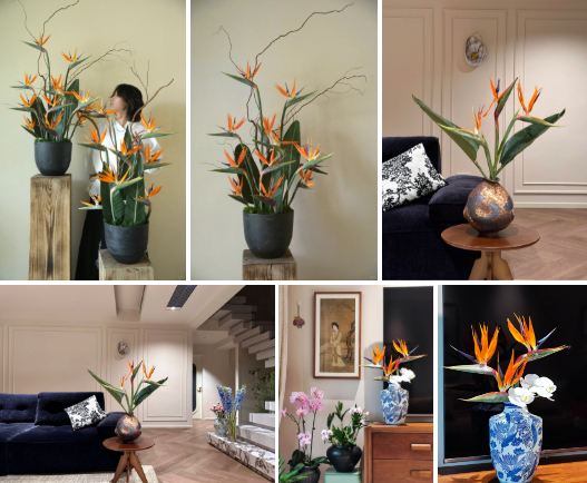 Hoa thiên điểu “đổ bộ” phòng khách ngày Tết: Nhìn là thấy giàu, cắm một lần là nghiện