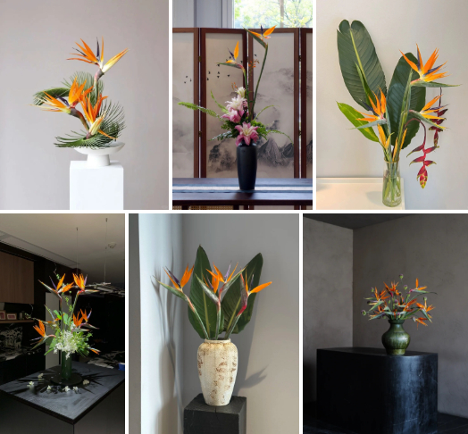 Hoa thiên điểu “đổ bộ” phòng khách ngày Tết: Nhìn là thấy giàu, cắm một lần là nghiện