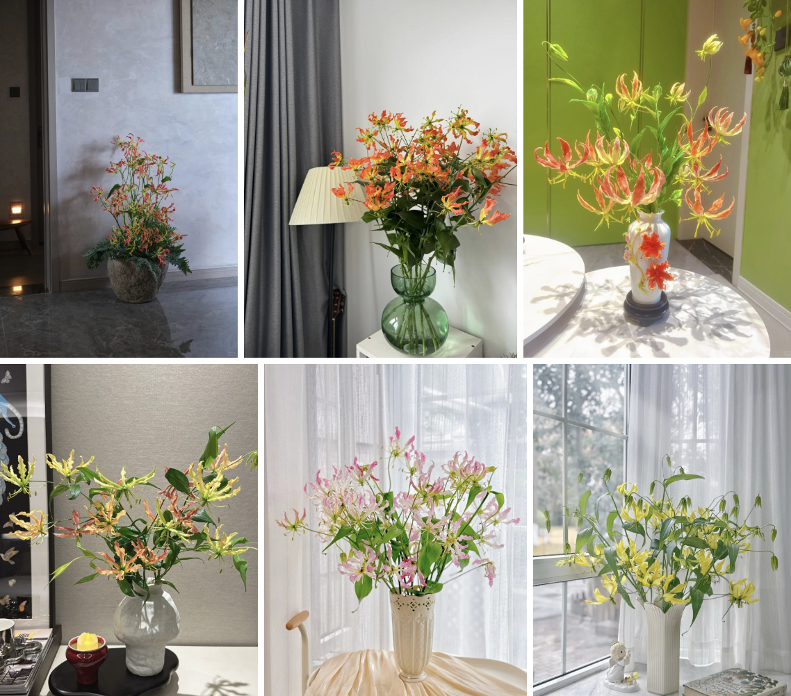 Hoa ngót nghẻo đẹp mê như bó lửa đỏ nhưng cực độc: Mẹ nào mê cắm Tết nhớ đọc kỹ trước khi mua