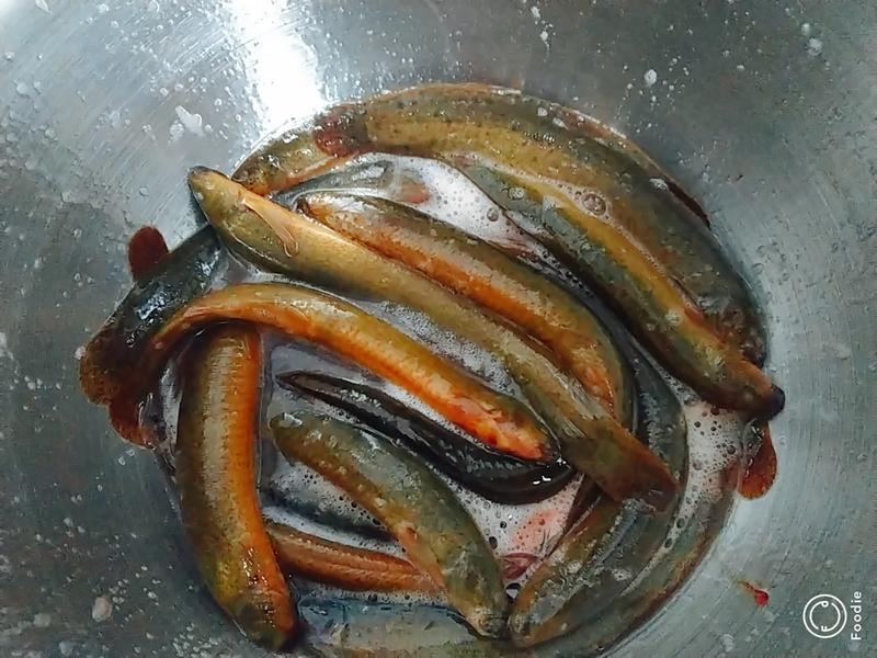 Những người lão hóa chậm thường ăn 3 món này: Nếu bạn đã nấu và ăn cả 3, thì trông trẻ hơn tuổi thật!