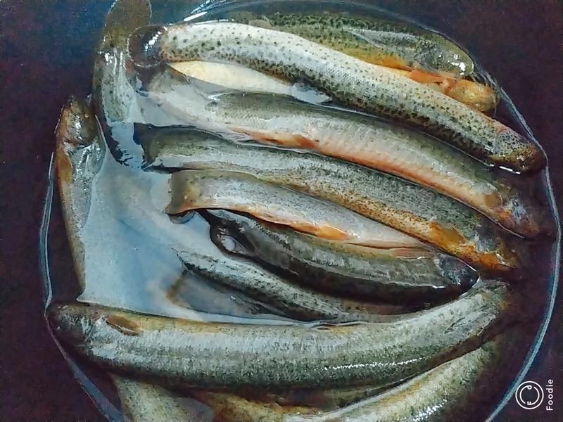 Những người lão hóa chậm thường ăn 3 món này: Nếu bạn đã nấu và ăn cả 3, thì trông trẻ hơn tuổi thật!