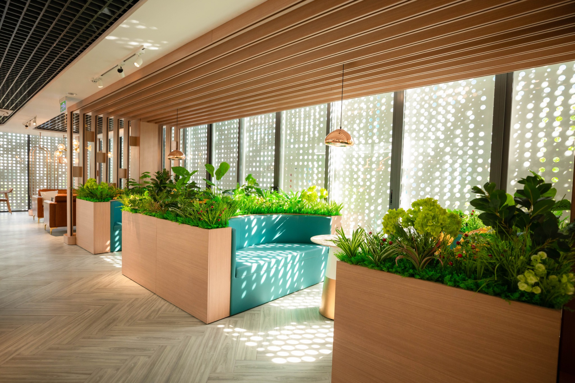 QUÁ XỊN: 1 trường ở TP.HCM mở quán cà phê như resort trong khuôn viên, sinh viên đi vài bước là có chỗ ngồi học cực chill