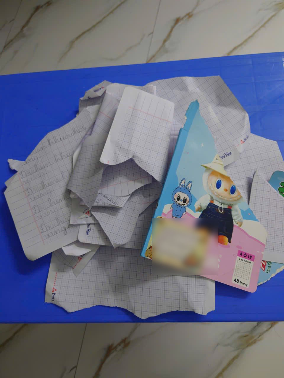 Những trang vở bị xé vụn