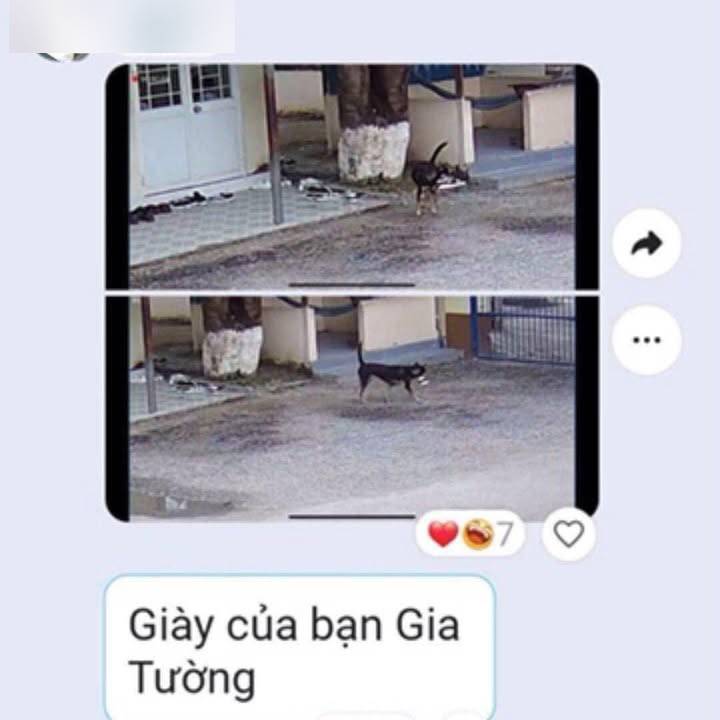 Đúng là thủ phạm mà người có trí tưởng tượng phong phú nhất cũng không nghĩ ra nổi.