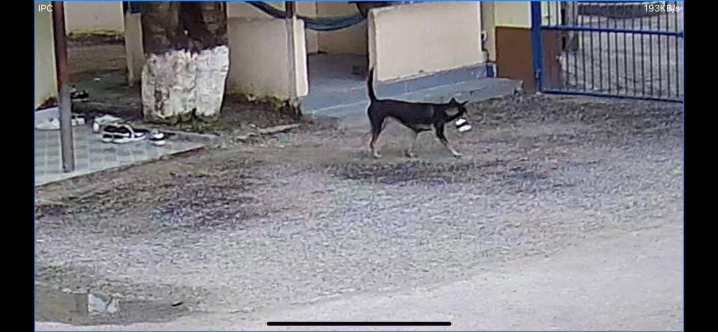 Cô giáo cảnh báo: Ai giấu giày bạn không trả sẽ bị hạ hạnh kiểm, trích xuất camera thấy thủ phạm mà câm nín - Phen này xử sao đây!