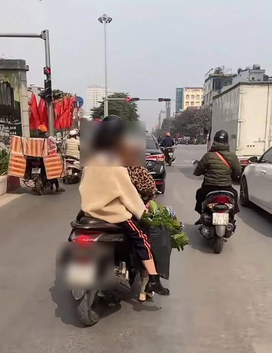 Sau một hồi “thưởng hoa”, người phụ nữ bất ngờ cúi xuống, bứng lêngiỏ cẩm tú cầu, đặt gọn lên xe máy rồi thản nhiên rời đi.