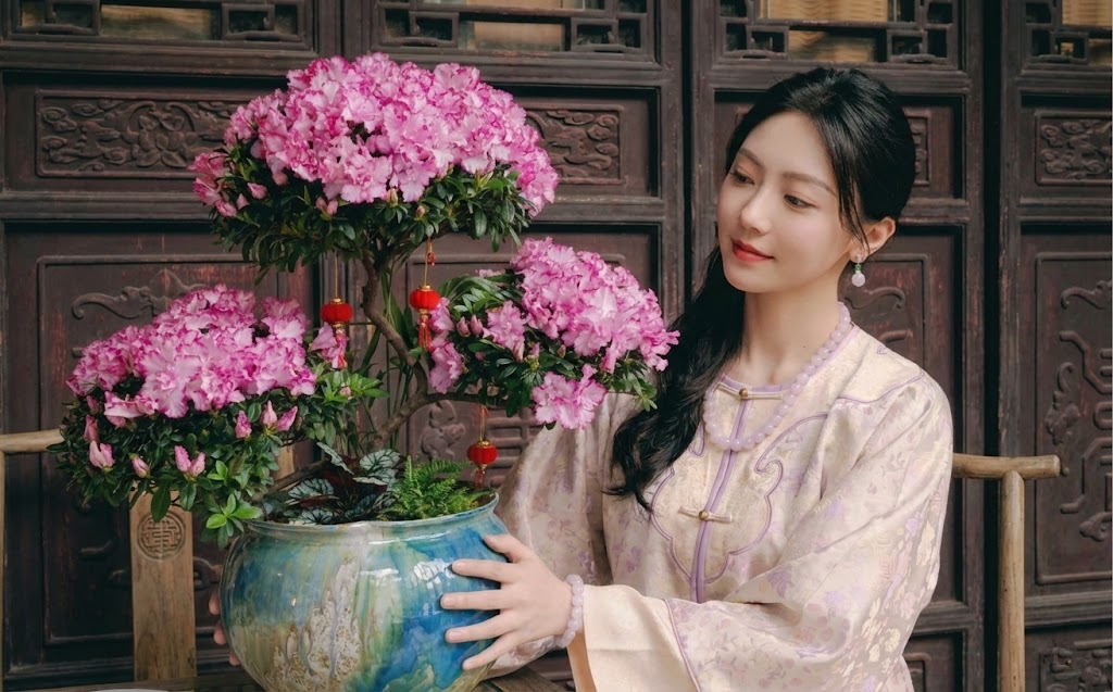 Nhiều chị em đang mê mẩn săn lùng đỗ quyên trân châu chơi Tết: Loài hoa sang chảnh nhưng cực 