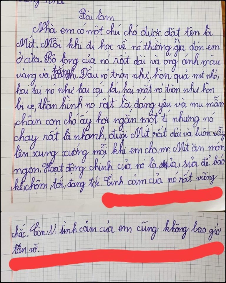 Một bài văn tả con vật, nhưng lại mở ra cả một thế giới tình cảm rất đầy đặn. 