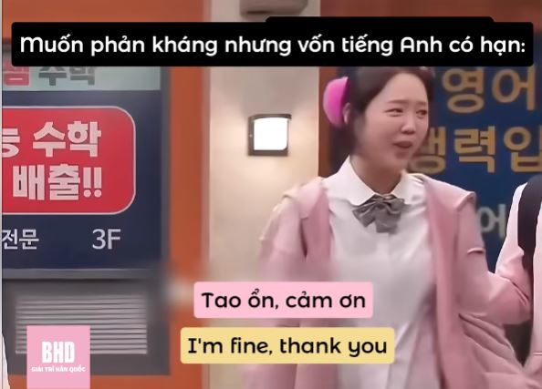 Khi bị bạn mắng mà mình kém tiếng Anh