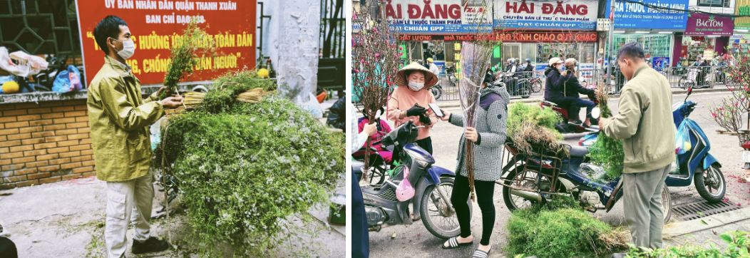 Không phải mai đào rực rỡ, đây mới là mùi hương 